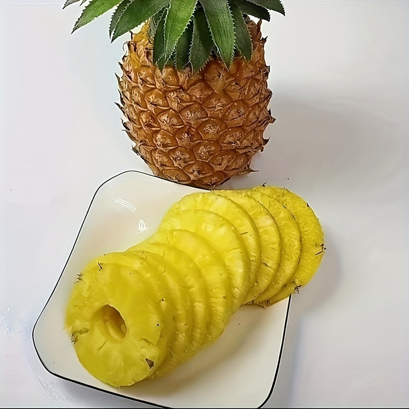 Stainless Steel Pineapple Corer & Slicer – Quick Fruit Cutter with Easy Handle
